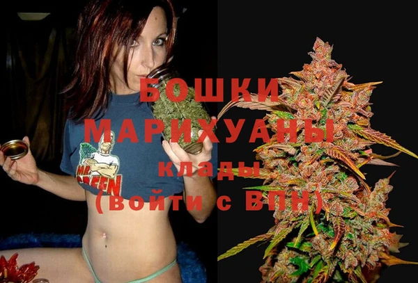 гашик Осинники