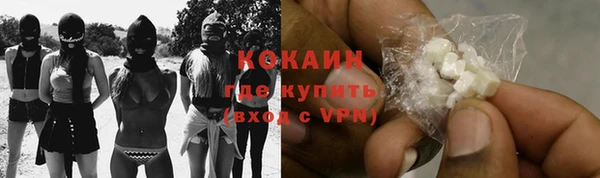 гашик Осинники