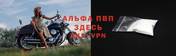 гашик Осинники