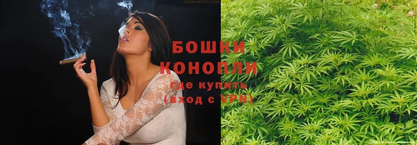сатива Нягань