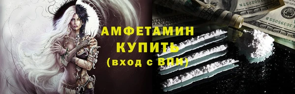 прущие грибы Вязники