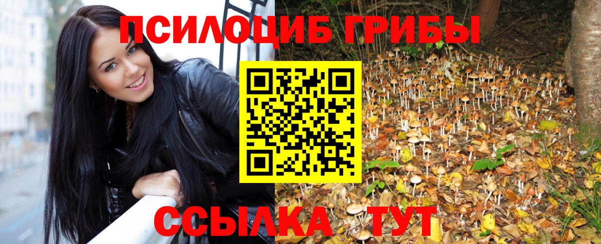 Печора  закладка  Вход с VPN  Галлюциногенные грибы мицелий 