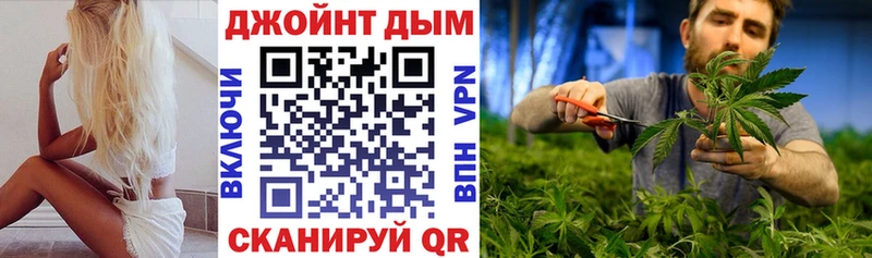 Бошки Шишки план  Печора 